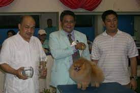 philippine les and top pomeranians