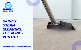 benefits of steam carpet cleaning