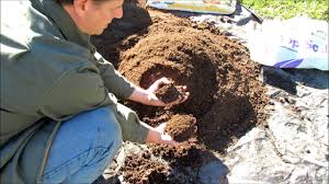 organic fertilizer