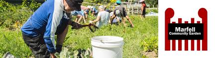 community gardens bringing people