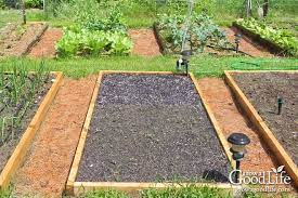 Organic Mulch Helps Your Vegetable Garden