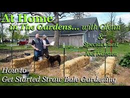 straw bale gardening with garden guest