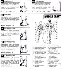 gold s gym xrs 50 weight chart