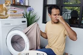 how to eliminate dryer odor the easy