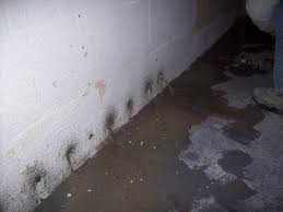 basement waterproofing drytrak