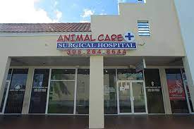 Animal Care Surgical Hospital gambar png