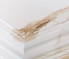 Check your policy to ensure that water damage or leaks in your roof are specifically covered. Roof Leaks