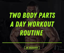 two body parts a day workout routine