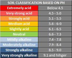Ss Connection Real World Uses For Ph Levels Magic