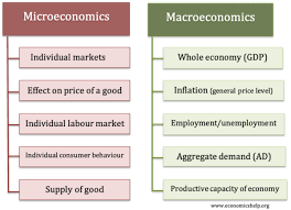 Microeconomics Vs Macroeconomics gambar png