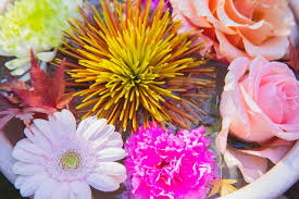 por flower types and the meanings