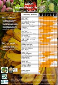 Lesson Plan Vegetables And Fruits