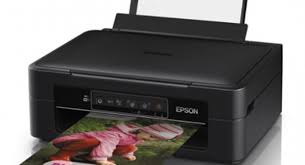 For instance, when printing an a4 color document, the capacities include 300 sheets of pigment black. Epson Expression Home Xp 220 Printer Driver Epson Driver Website