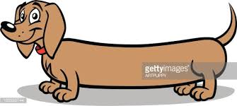 Download 9,005 dachshund stock illustrations, vectors & clipart for free or amazingly low rates! Wiener Dog Clipart 1 566 198 Clip Arts