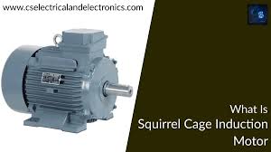 what is squirrel cage induction motor