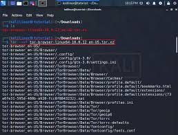 to install tor browser on kali linux