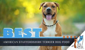 The american staffordshire terrier has triggered much debate about his origins. 6 Best American Staffordshire Terrier Dog Foods