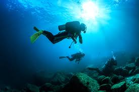diving loreto mexico over 100 dive