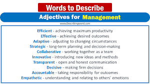 140 best adjectives for management