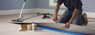 carpet cleaner and stretcher