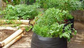 Grow Bags For Easy Raised Beds In Your