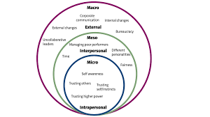 9 steps to improve your self trust levels