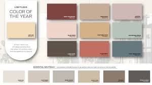 ppg color of the year 2024 limitless