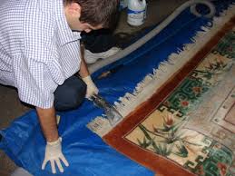 organic green carpet rug cleaning san