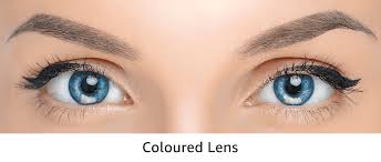 Contact Lenses Buy Contact Lenses Online At Best Prices In