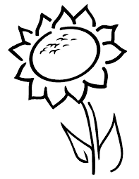 Be ready for some coloring fun with free coloring book. Sunflower Coloring Pages For Preschoolers Coloring Rocks