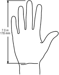 Hand Size For Evoluent Verticalmouse 4