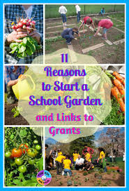 reasons you really need a garden