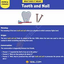 tooth and nail how to use the