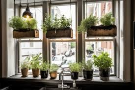 Window Garden With Hanging Planters