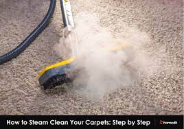 steam clean carpet to remove stains