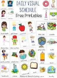 Daily Visual Schedule For Kids Free Printable Preschool