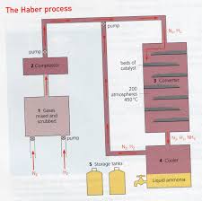 The Process The Steps The Haber Bosch Process