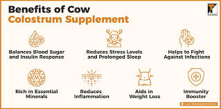 cow colostrum powder for humans
