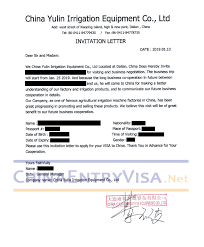 chinese business m visa application