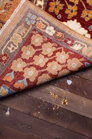 professional rug cleaning services in