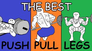 bodybuilding simplified push pull legs