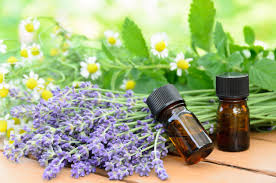Getting essential oils from plants is done with a process called distillation, most commonly distillation by steam or water, where many parts of the plants are being used, including the plant roots, leaves, stems, flowers, or bark. Essential Oil Information How To Use Essential Oils From Garden Plants