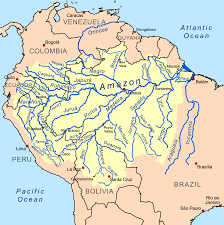 Амазонская низменность — Википедия