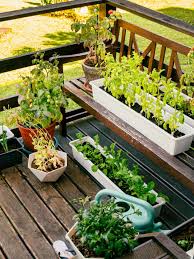 Small Spage Vegetable Garden Tips