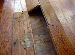 buckled hardwood floors job ysis