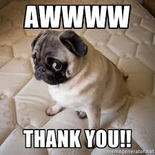 Image result for thank you pug images