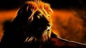 cool fire lion wallpapers top free