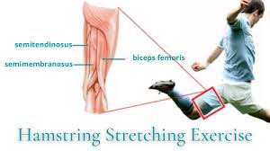 hamstring stretching exercise