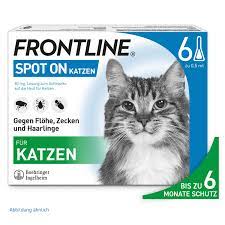 Frontline Spot On K Cat Solution : Amazon.de: Pet Supplies