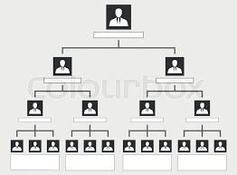 Organization Chart Tree Corporate Stock Vector